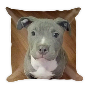 Pit Bull Puppy Pillow